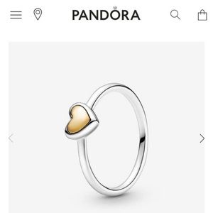 Pandora sterling silver vs 14k dome heart